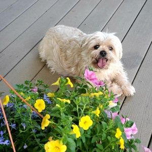 Meet your Posher, Jennifer